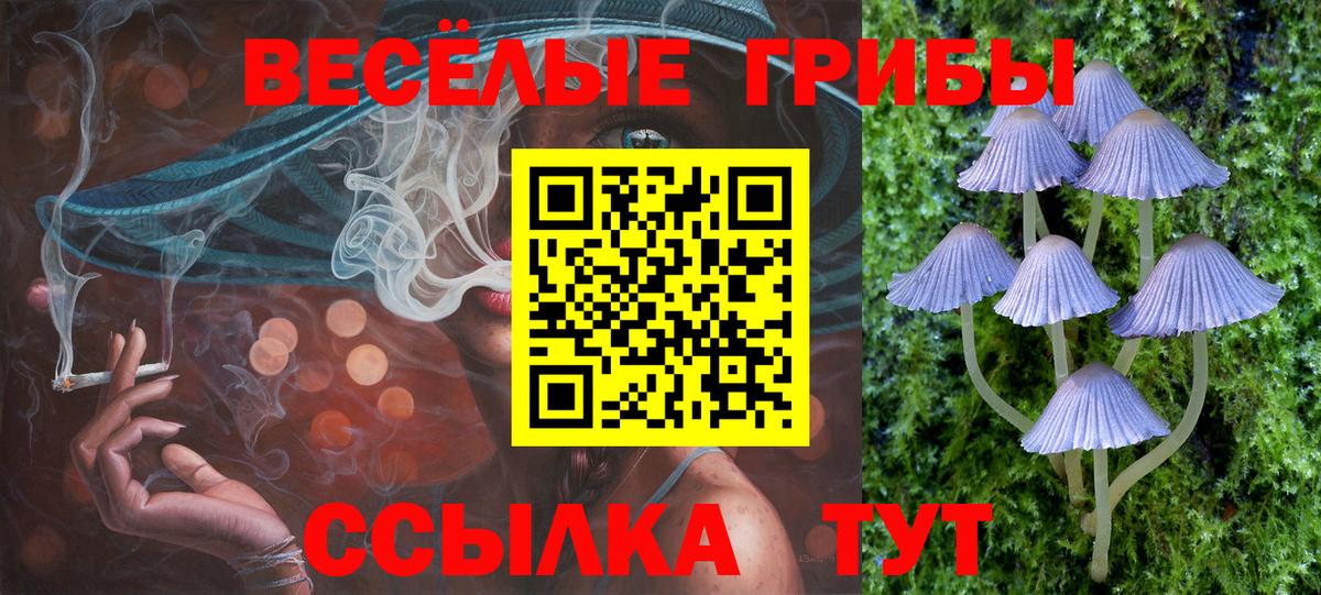 Верхняя Пышма  Псилоцибиновые грибы прущие грибы  Вход с VPN 